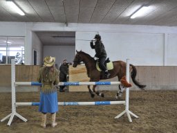 DSC_0917_web